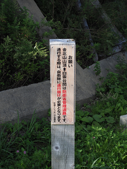 P9192102_thumb.png