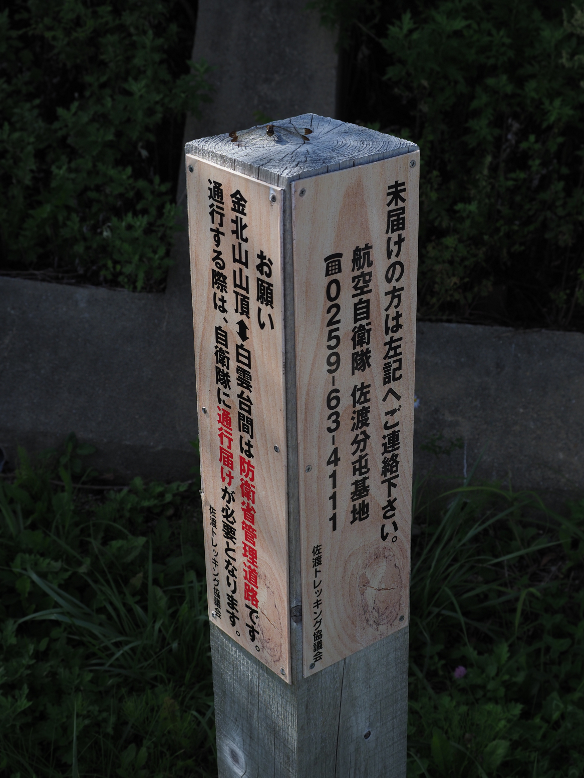 P9192105.jpg