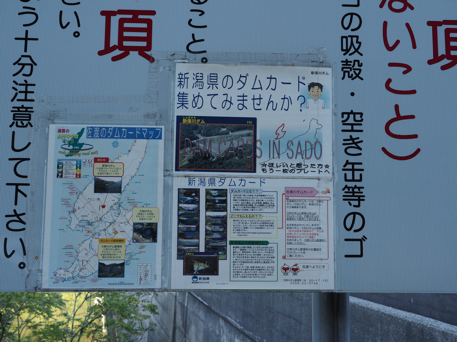 P9192139.jpg