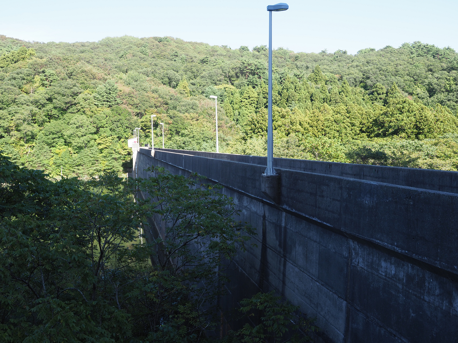 P9192140.jpg