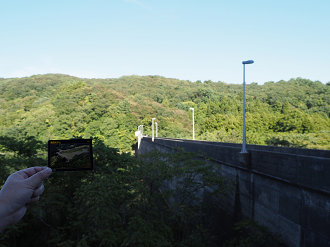 P9192142_thumb.png