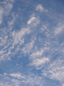 P9192173_thumb.png