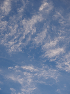 P9192174_thumb.png