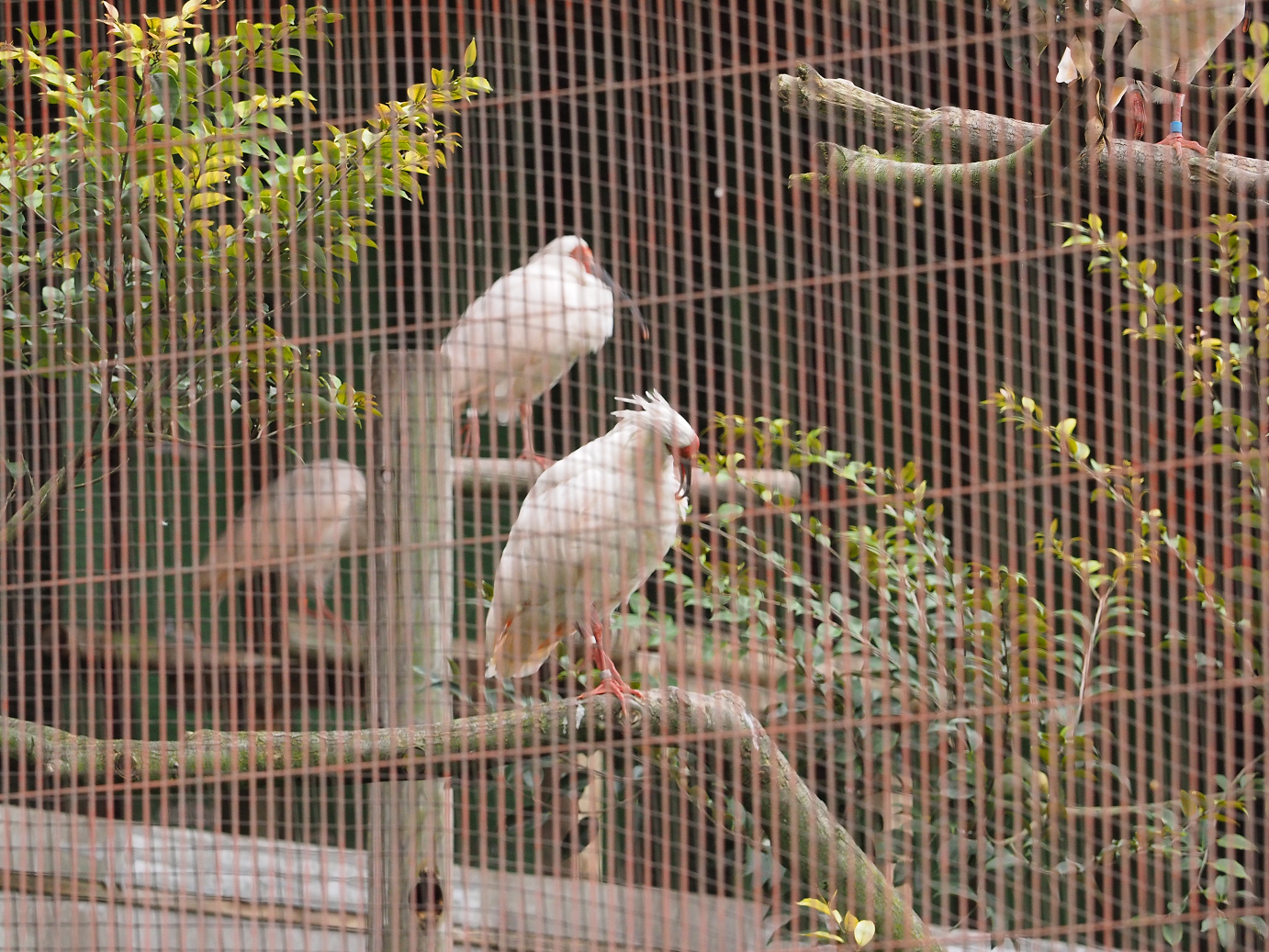 P9200014.jpg