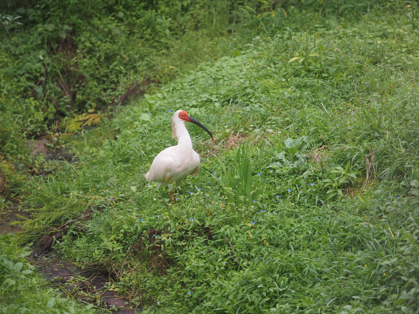 P9200066.jpg