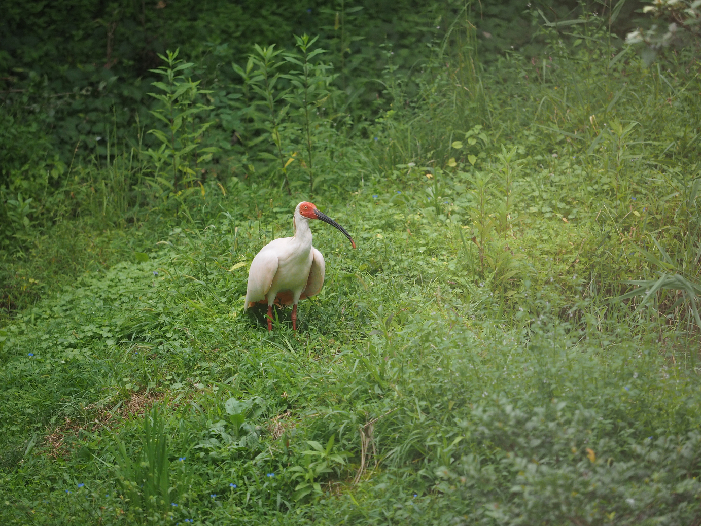 P9200071.jpg