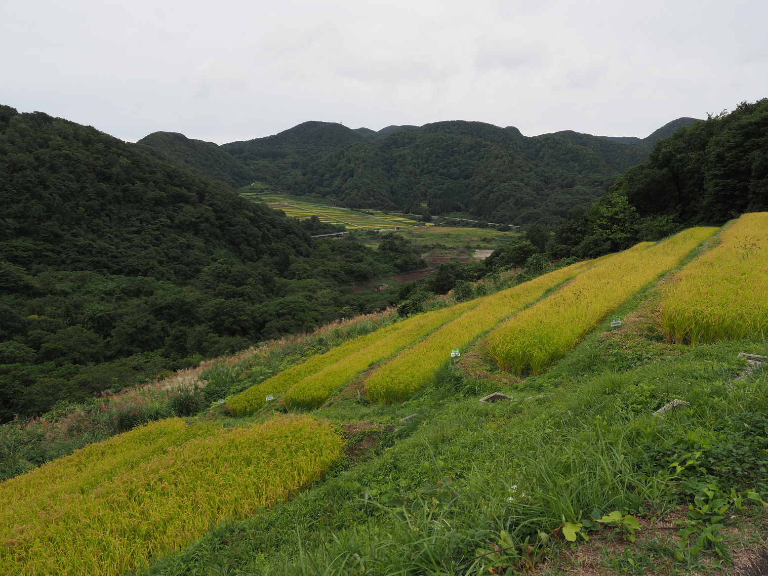 P9202261.jpg