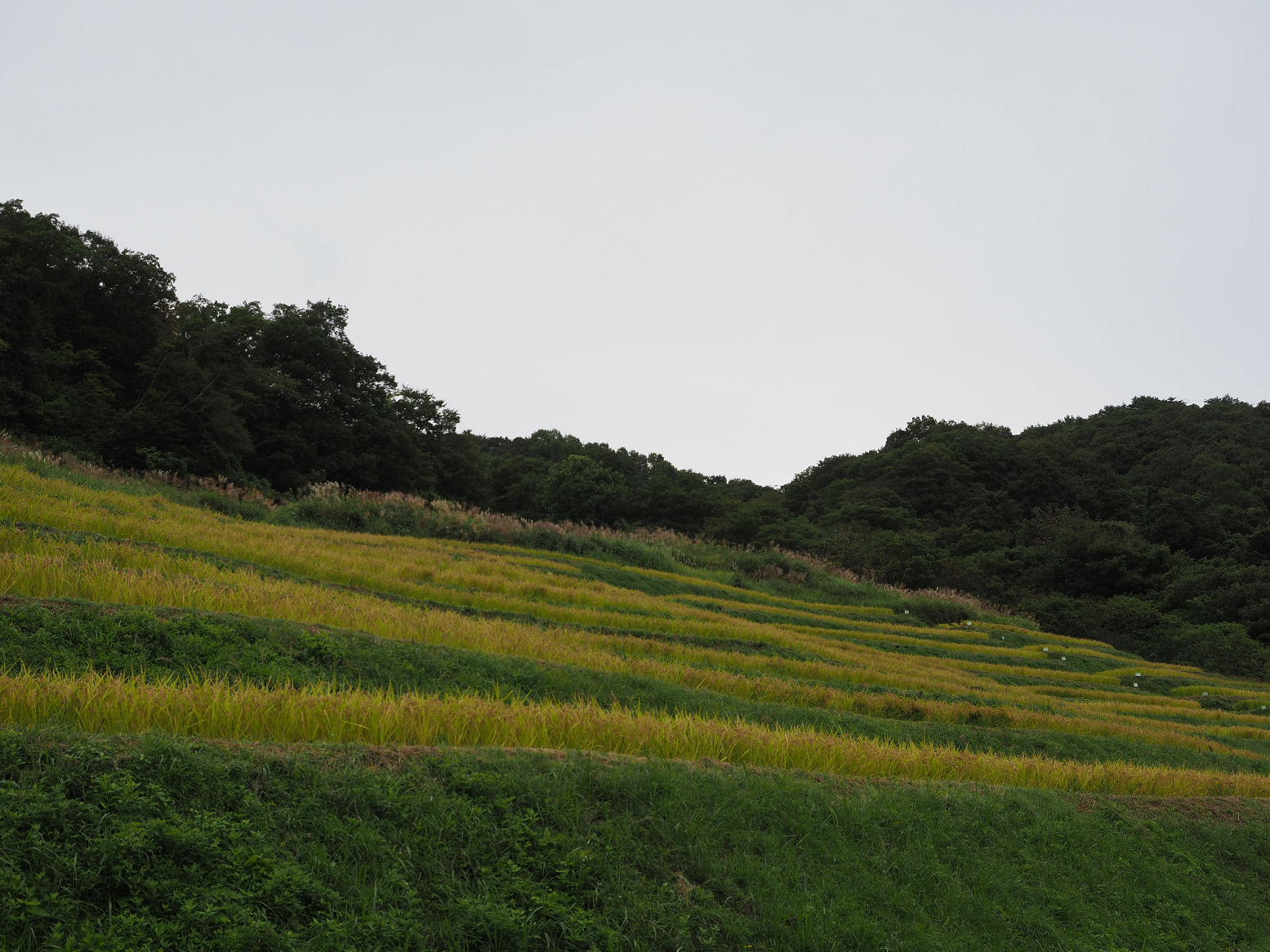 P9202262.jpg