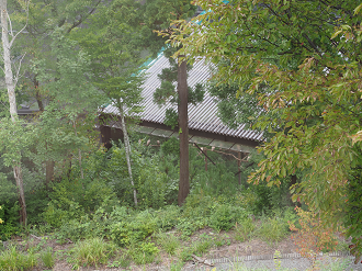 P9202265_thumb.png