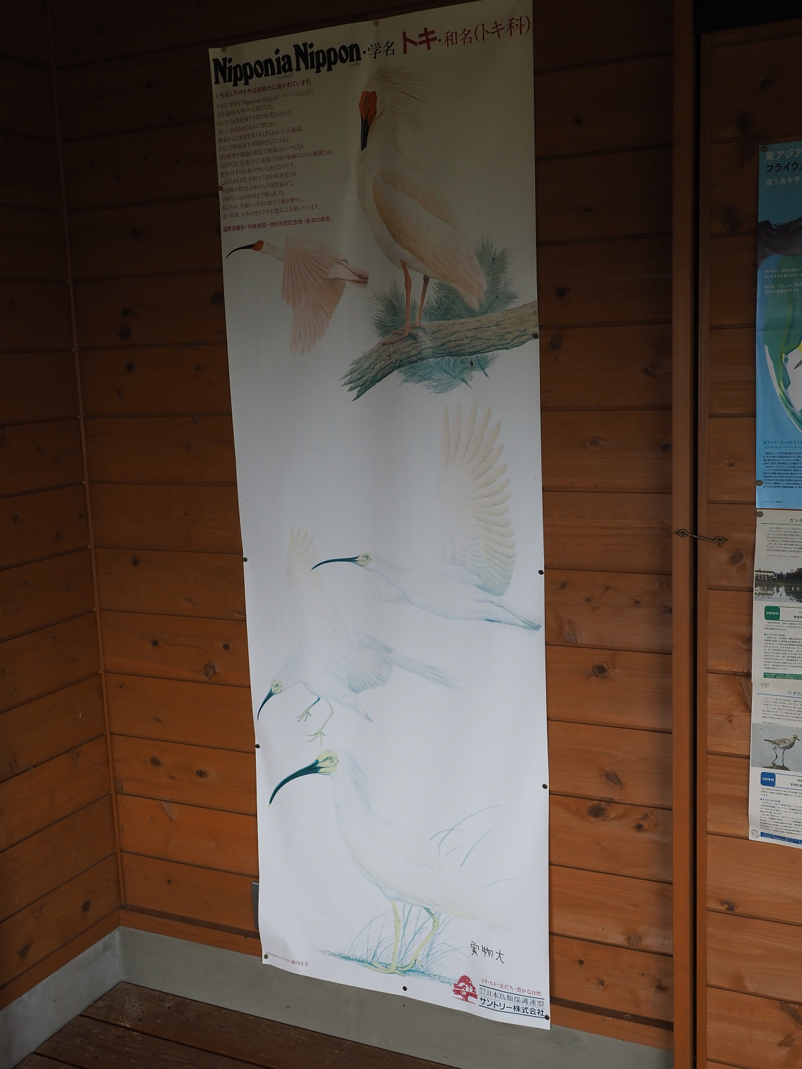 P9202300.jpg