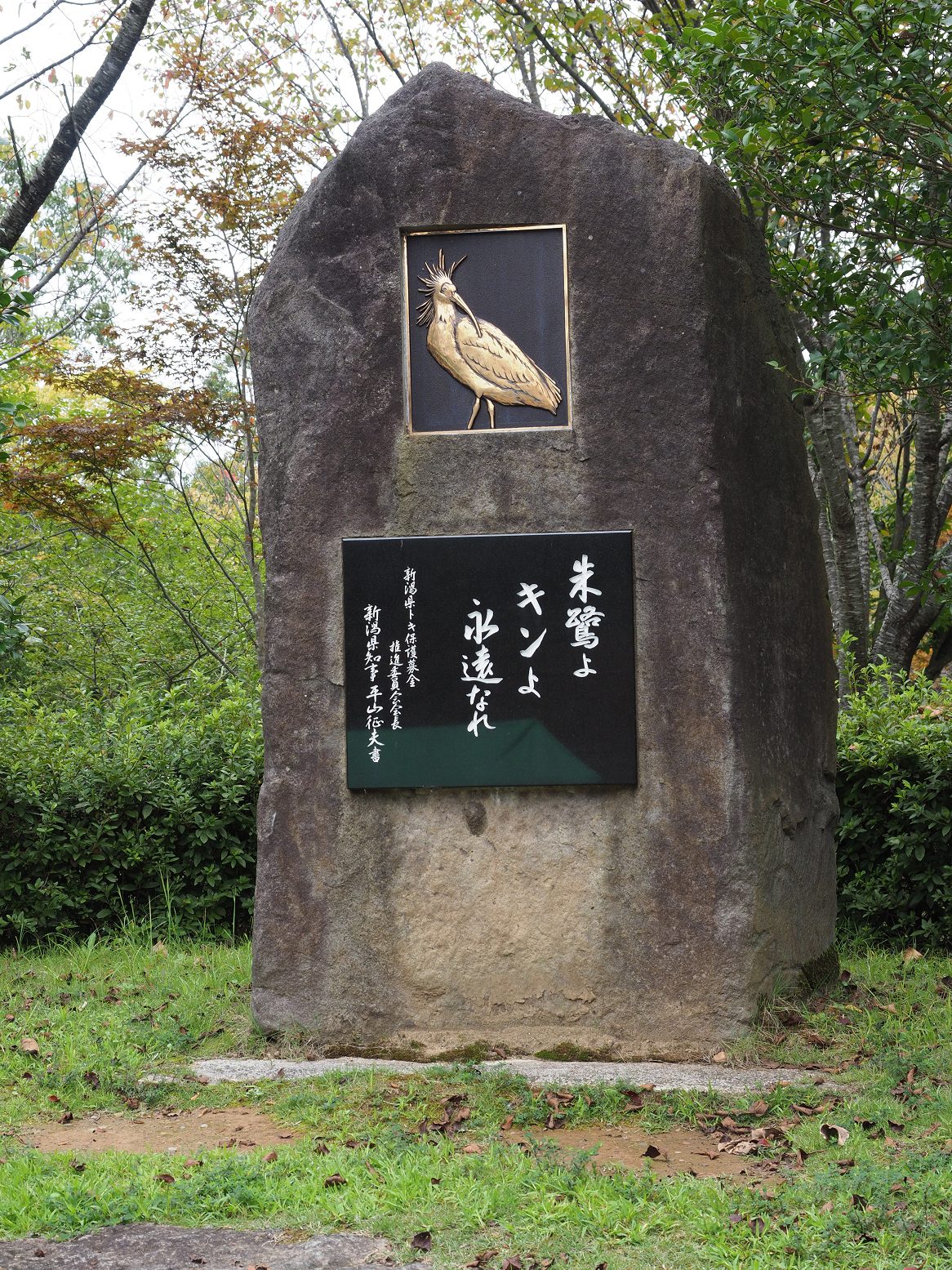 P9202334.jpg