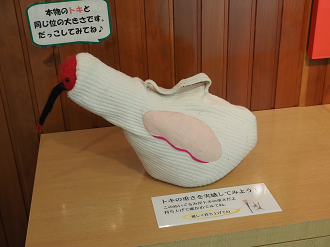 P9202348_thumb.png