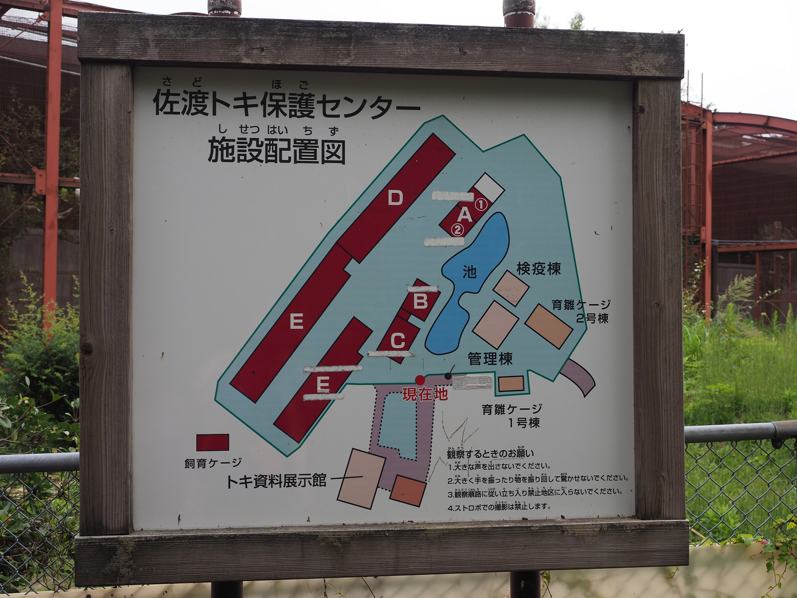 P9202360.jpg