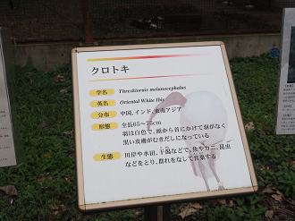 P9202362_thumb.png