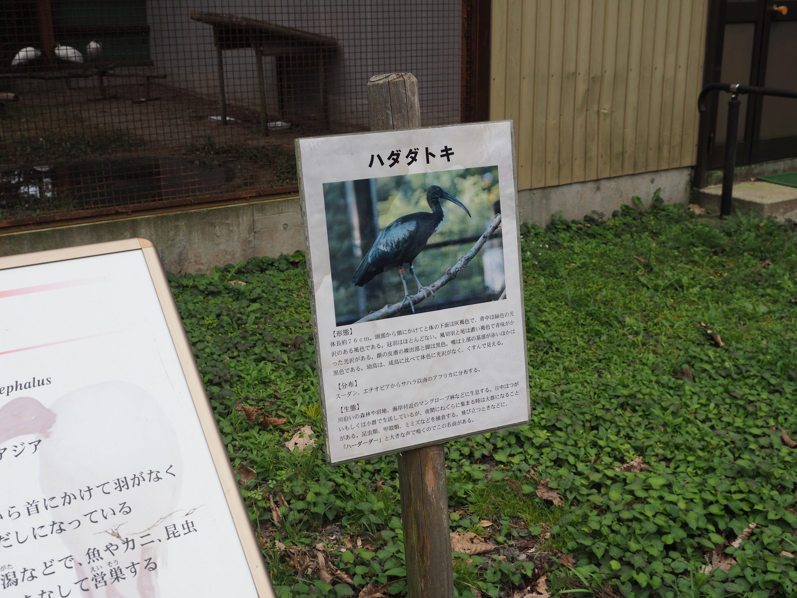 P9202363.jpg