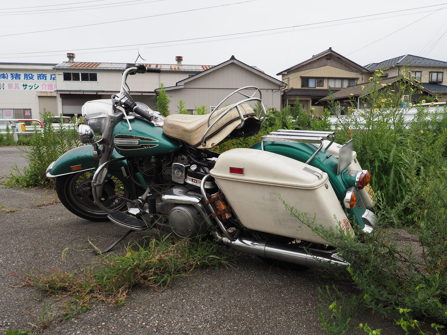 P9202374.jpg