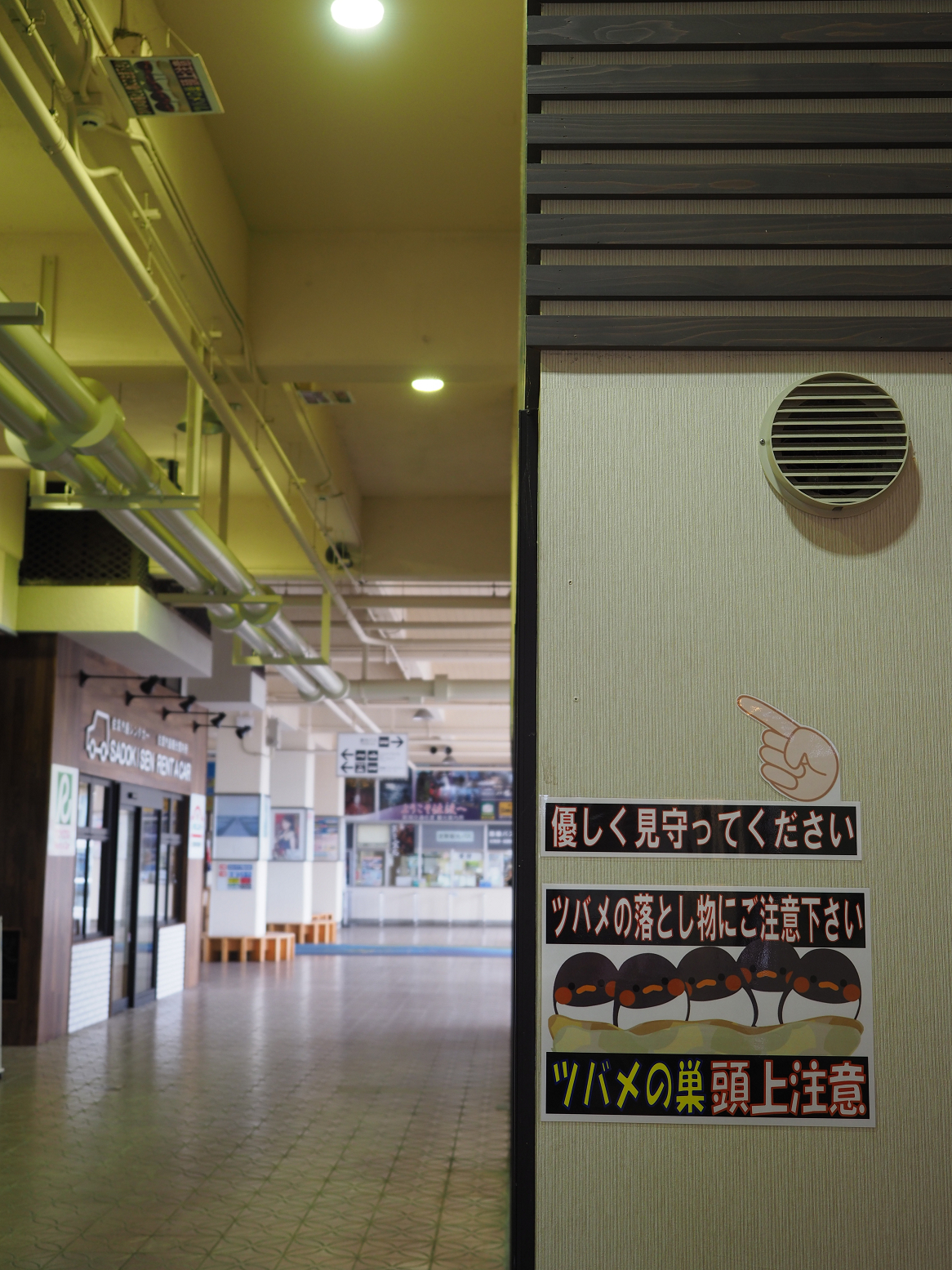 P9212534.jpg