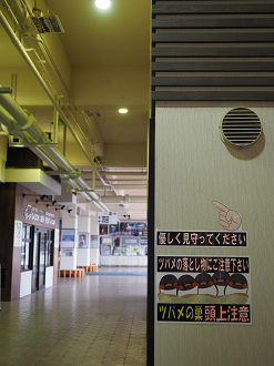 P9212534_thumb.png