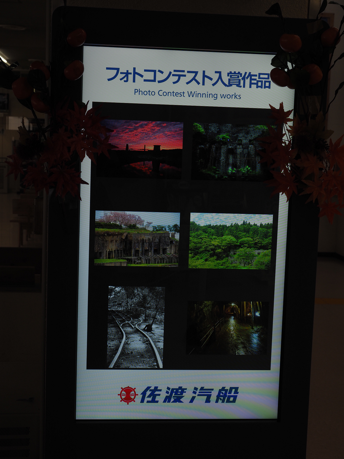 P9212540.jpg