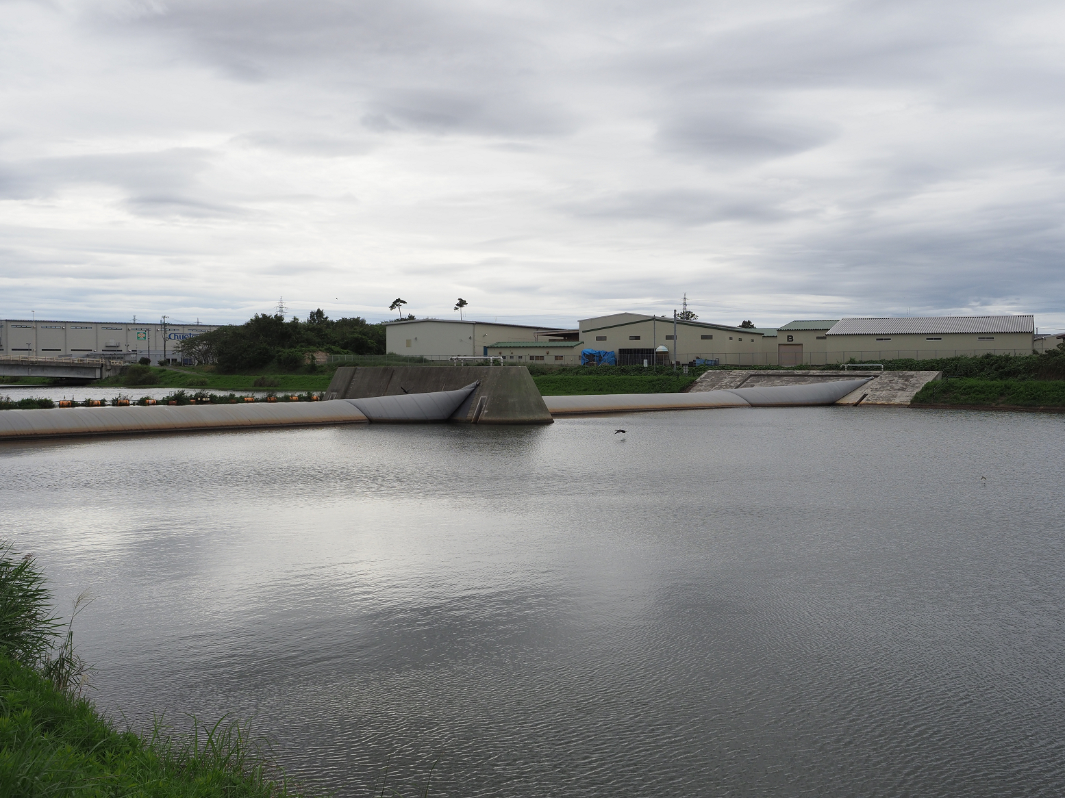 P9212720.jpg