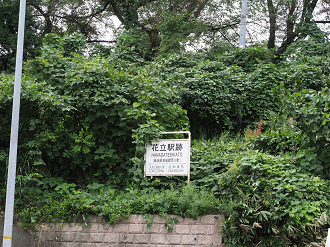 P9212733_thumb.png