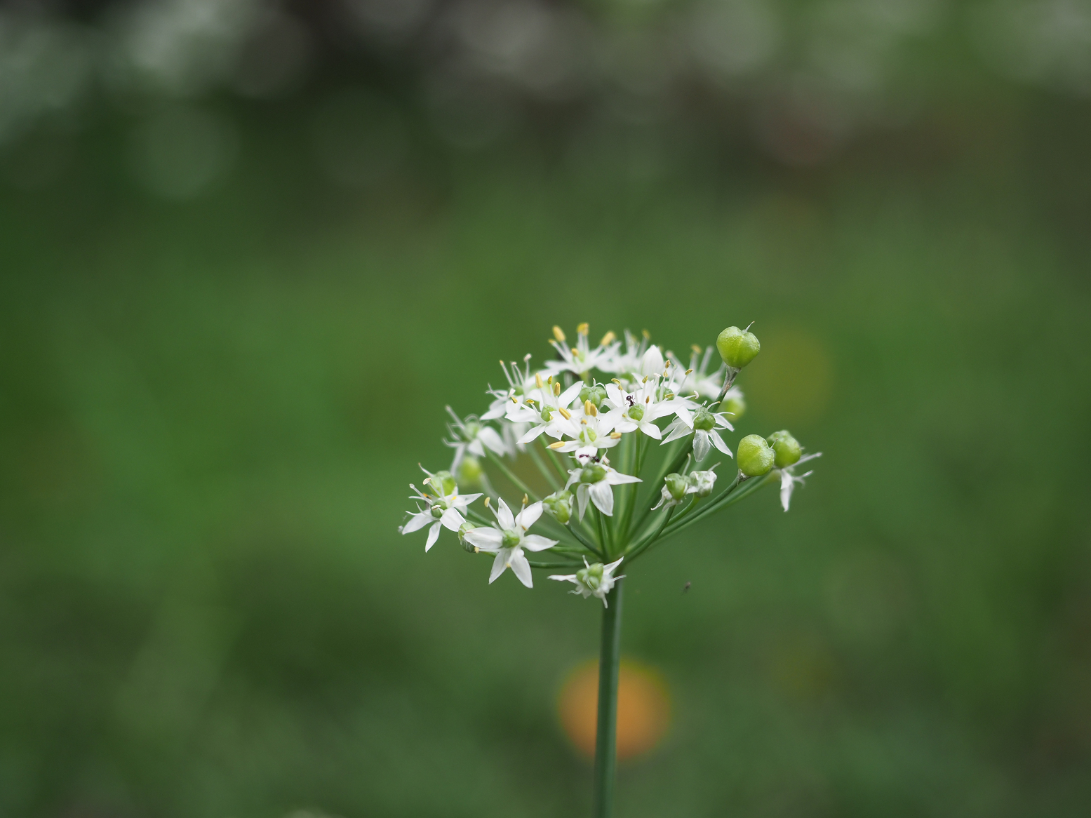 P9232810.jpg