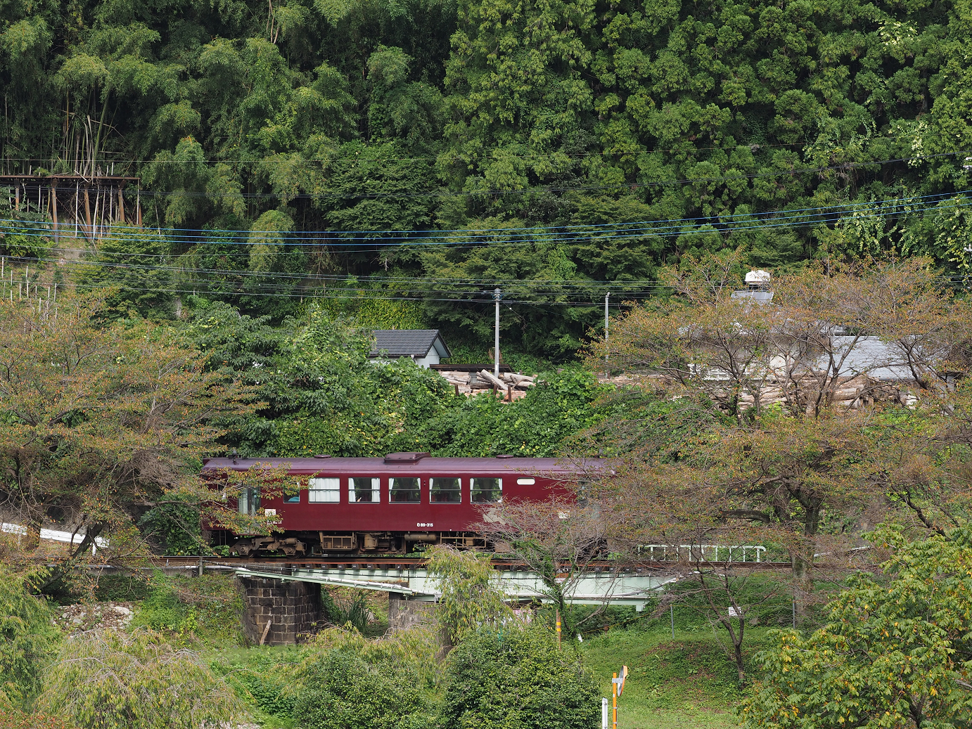 P9240147.jpg