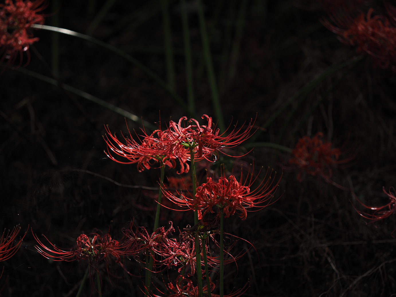 P9240152.jpg