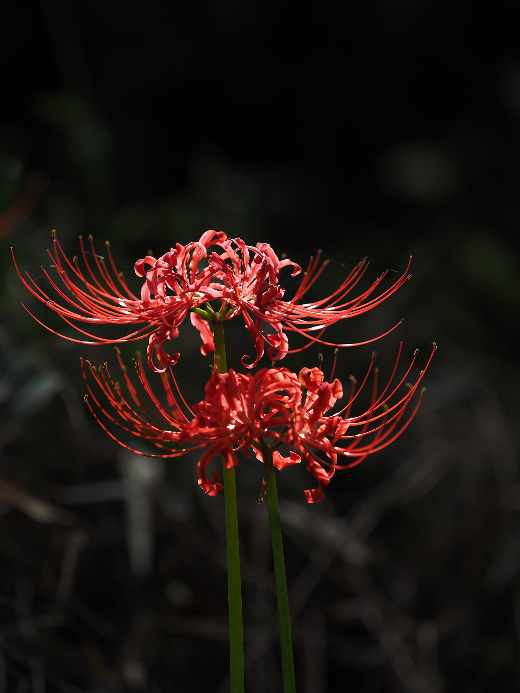 P9240156.jpg