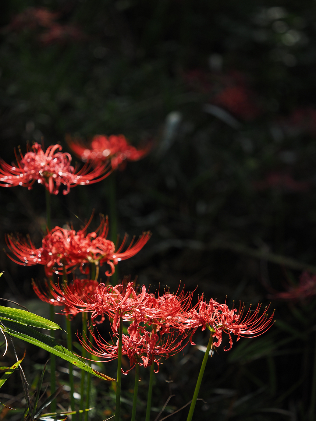 P9240165.jpg