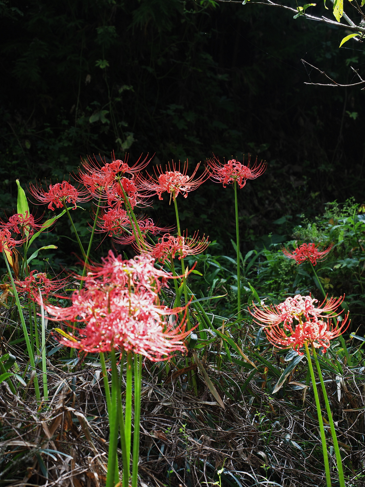 P9242950.jpg
