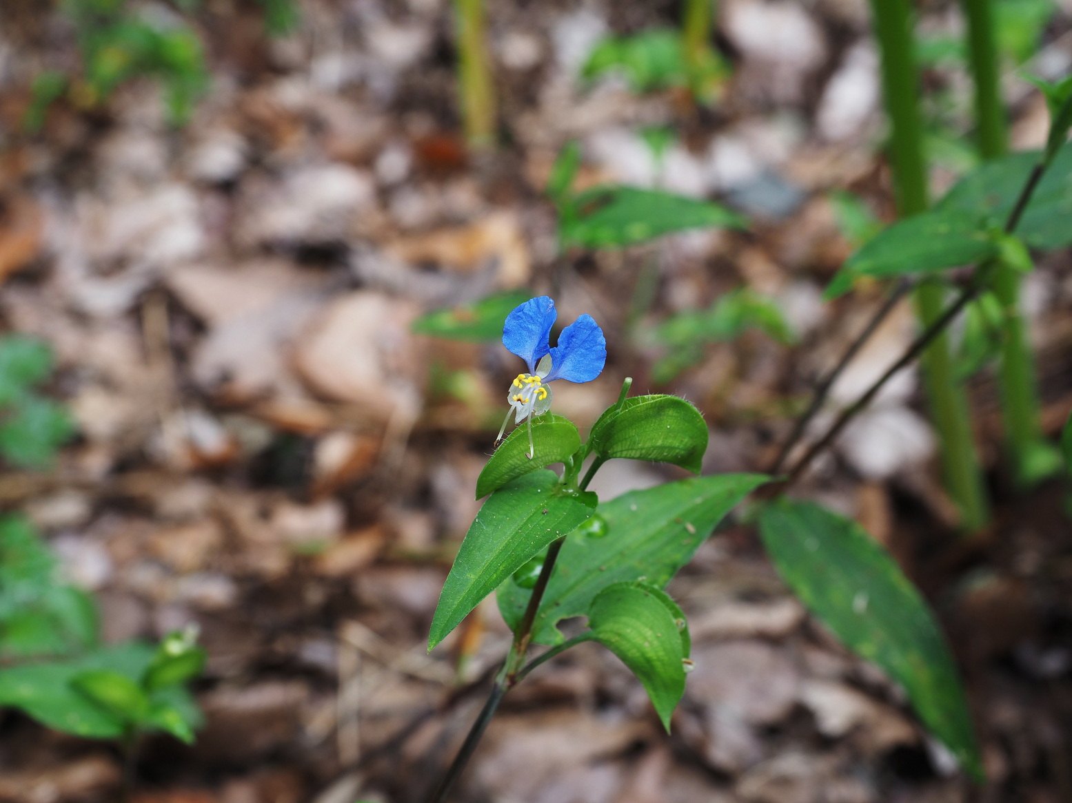 P9242957.jpg