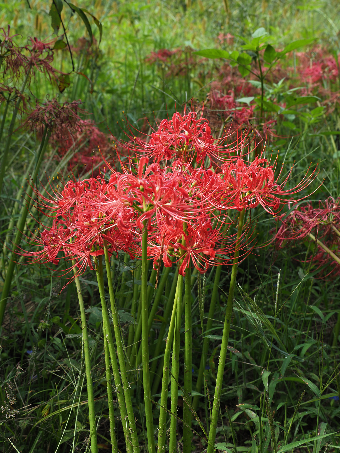 P9242959.jpg