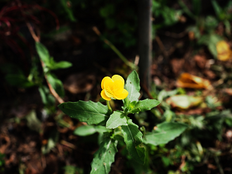P9242960_thumb.png