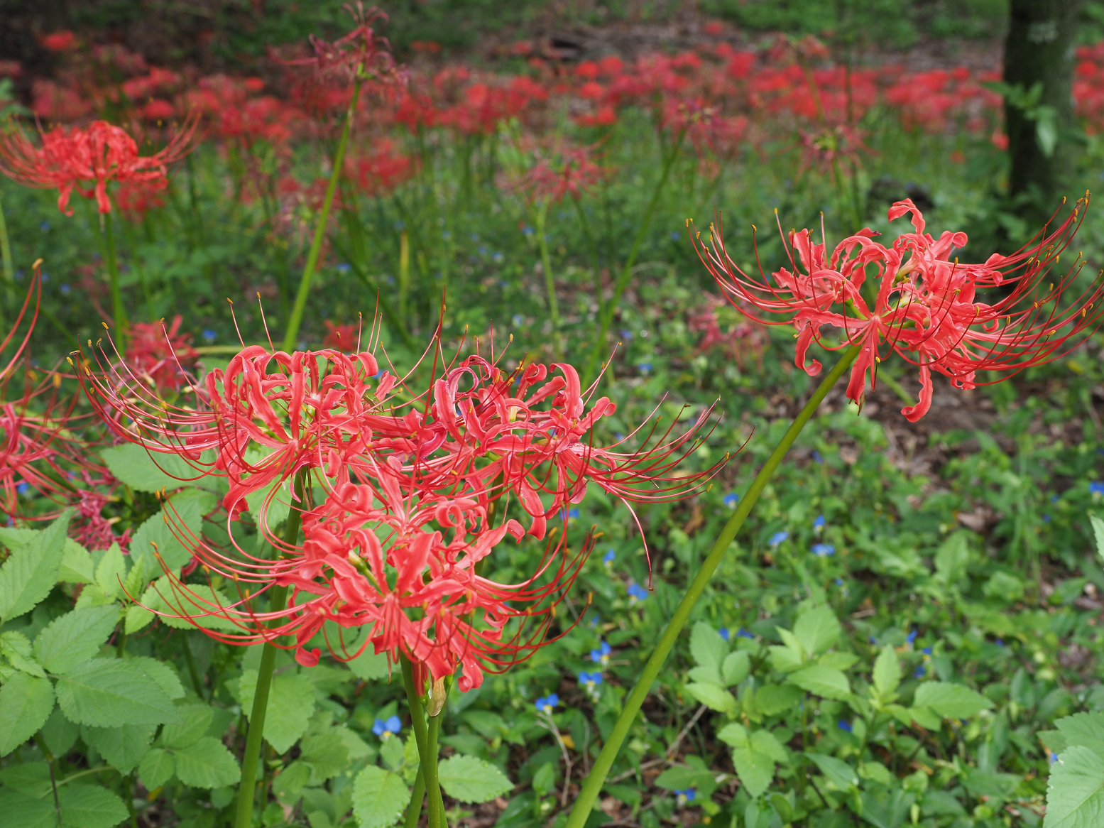 P9242963.jpg