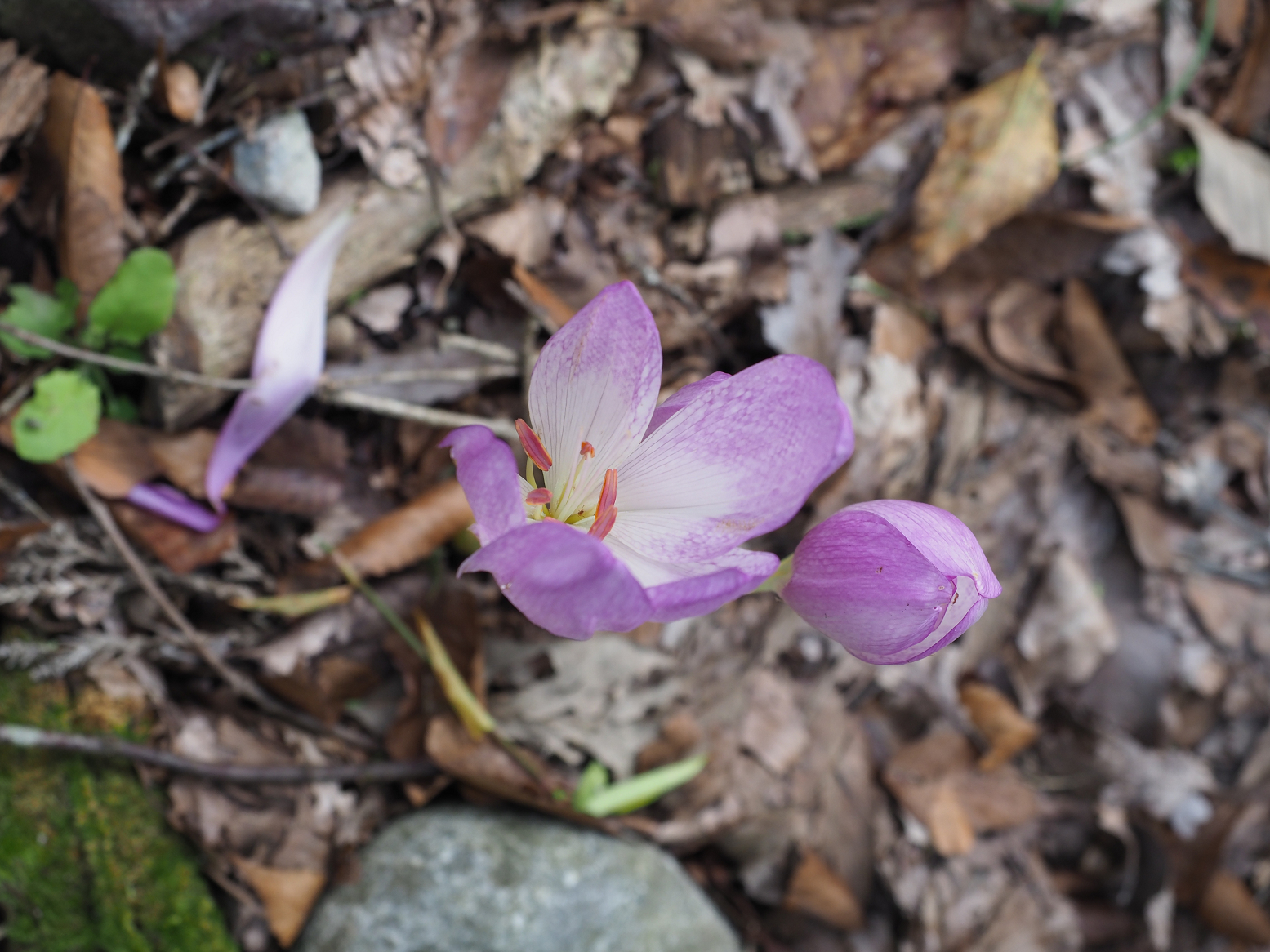 P9242974.jpg