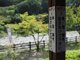P9243019_thumb.png