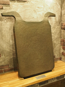 P9243119_thumb.png