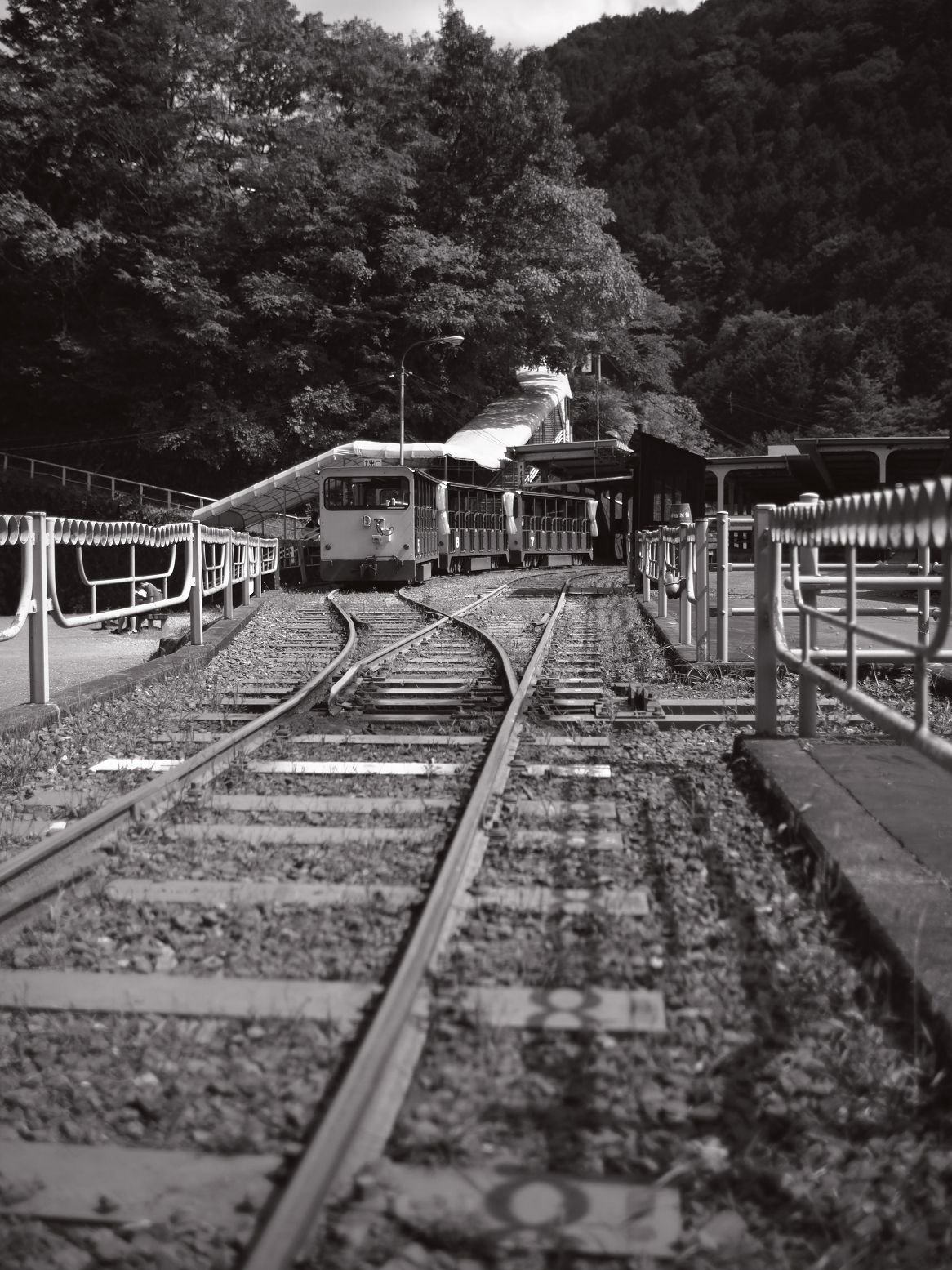 P9243138.jpg