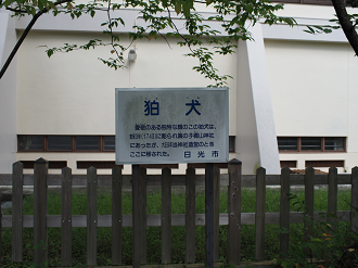 P9243171_thumb.png
