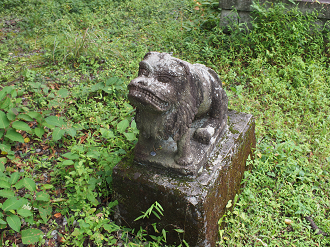 P9243172_thumb.png
