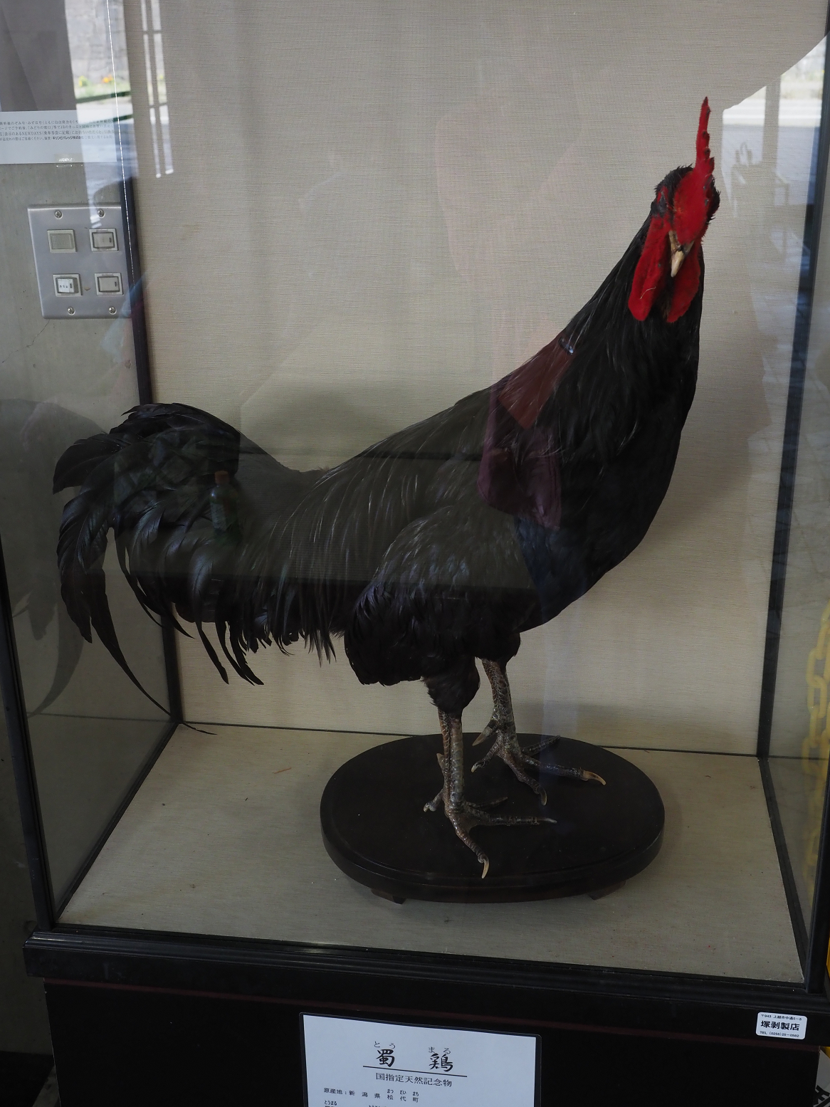 PA060163.jpg