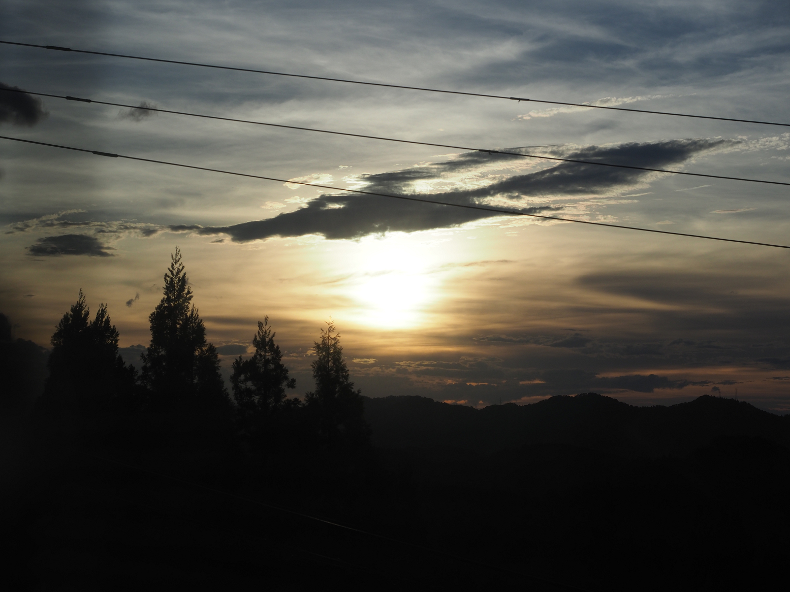 PA060200.jpg