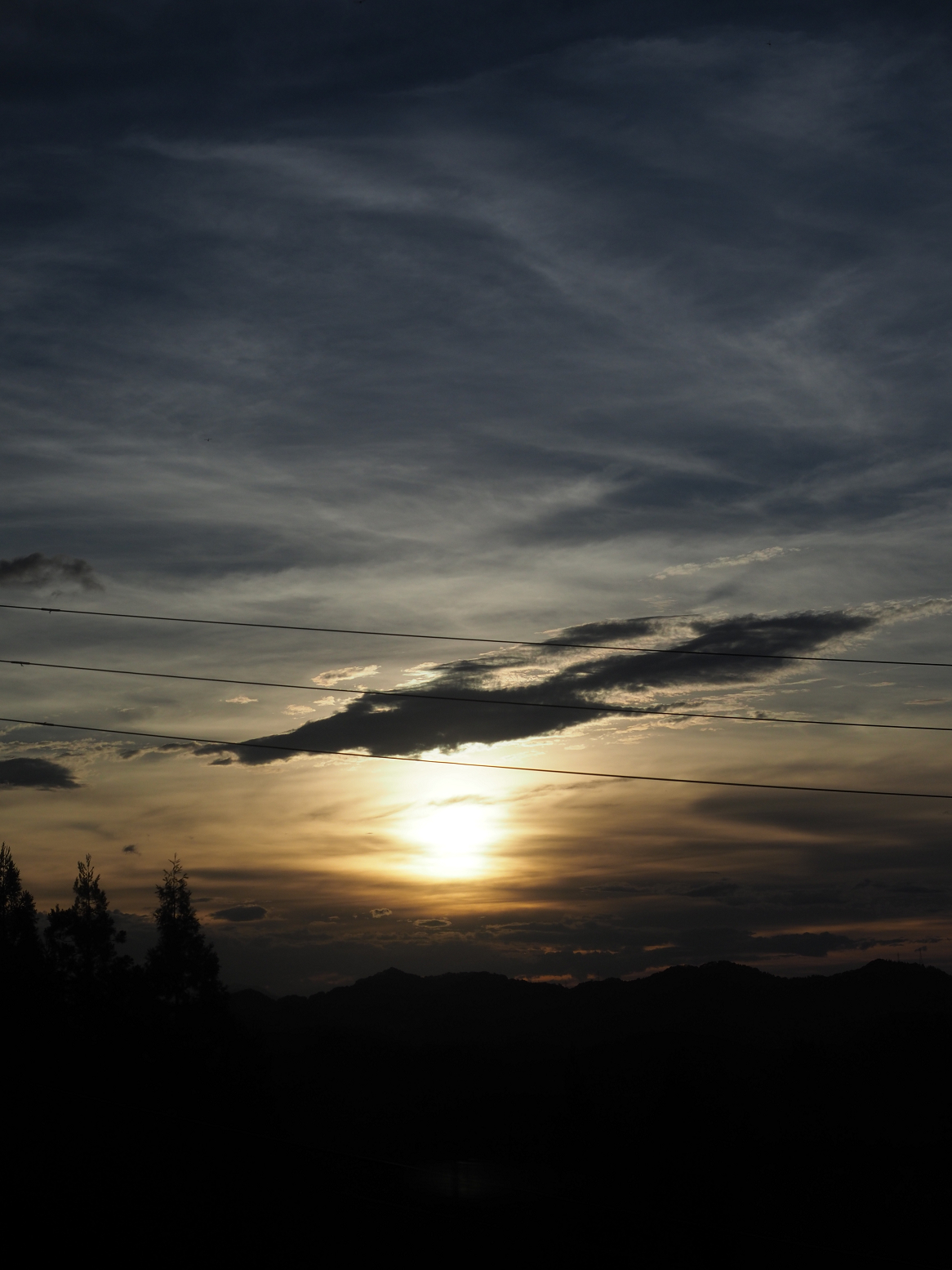 PA060203.jpg