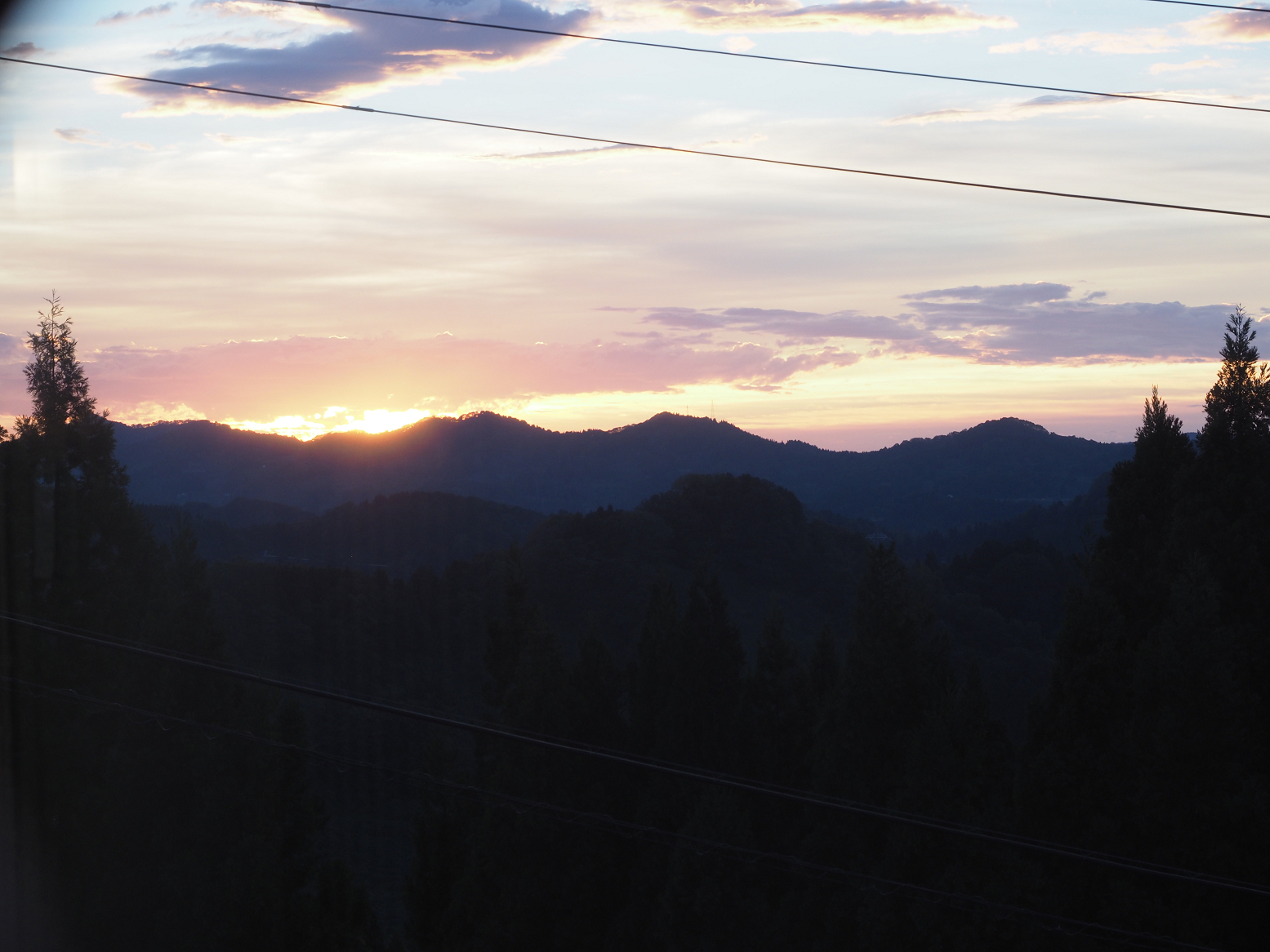 PA060207.jpg