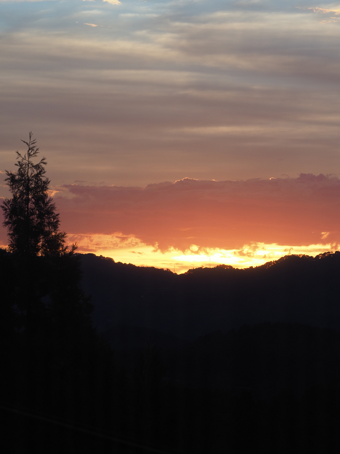PA060212.jpg