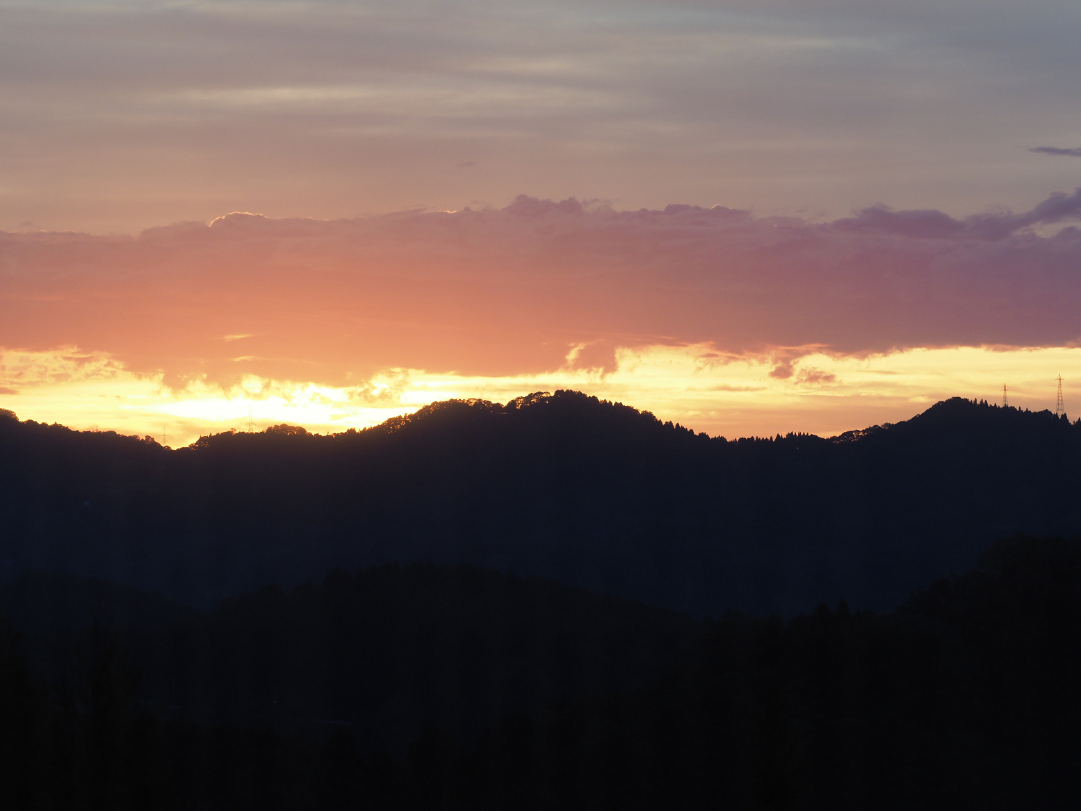 PA060214.jpg