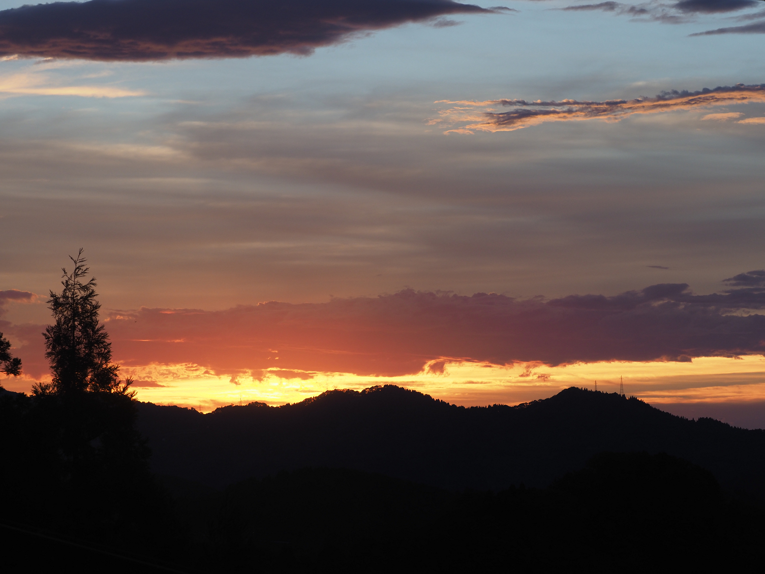 PA060219.jpg