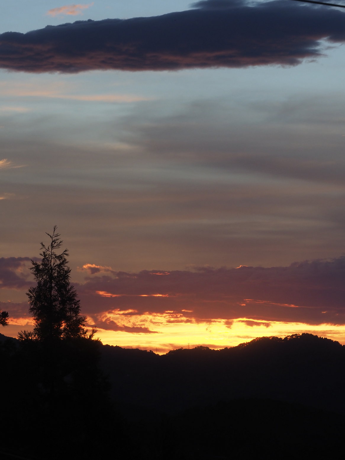 PA060225.jpg