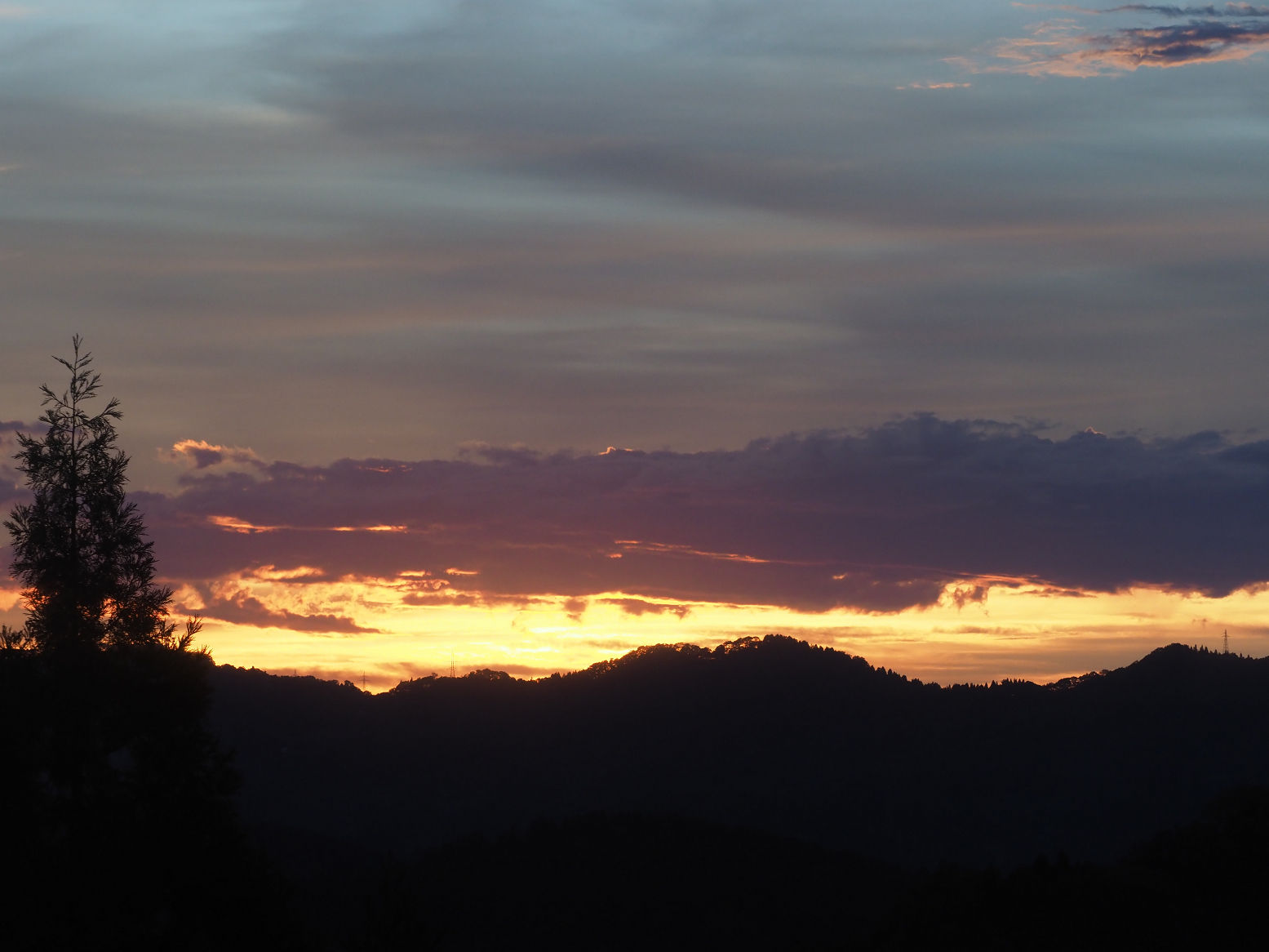 PA060226.jpg